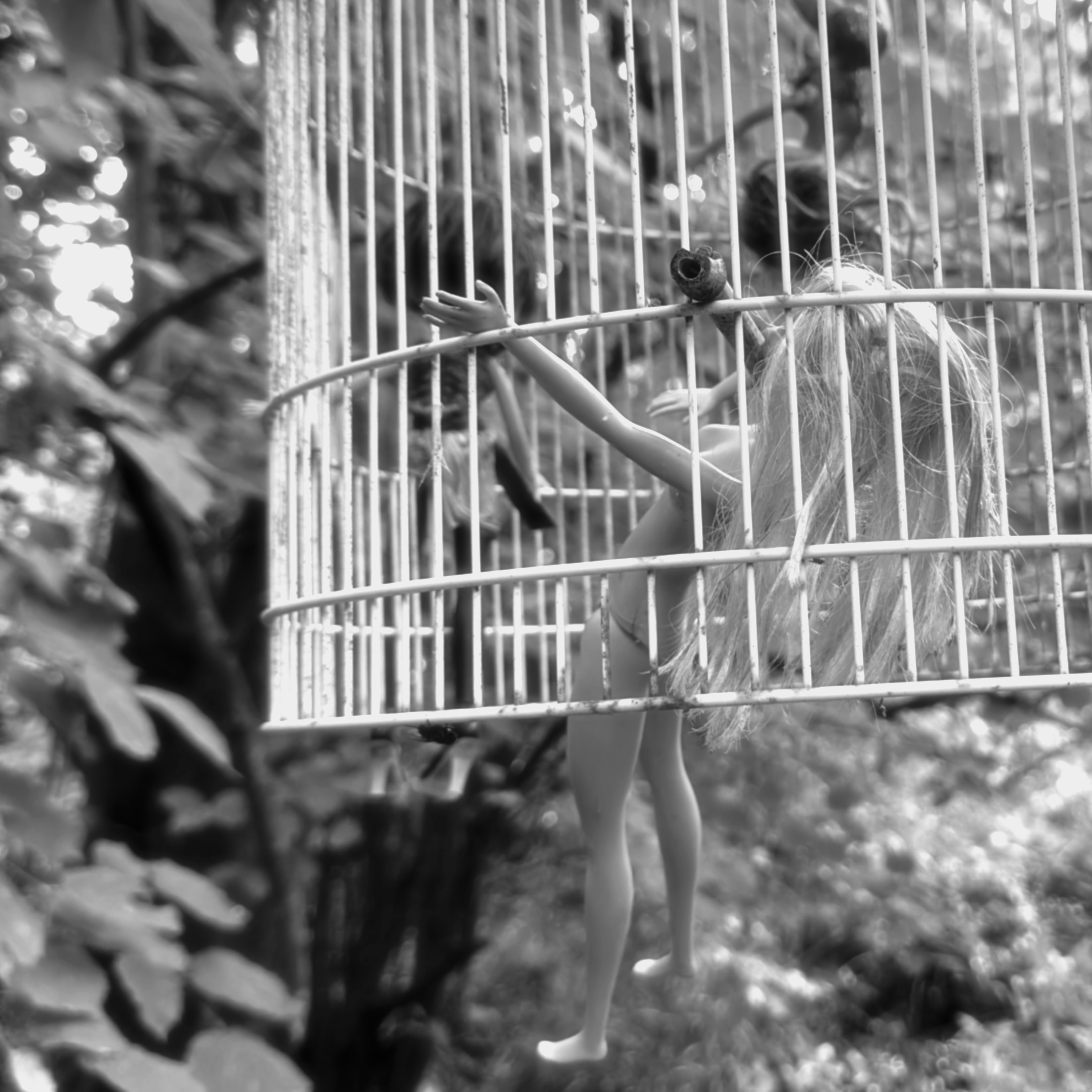 test image